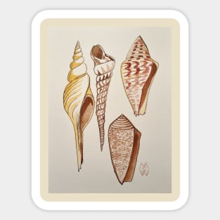 Seashell Study Sticker